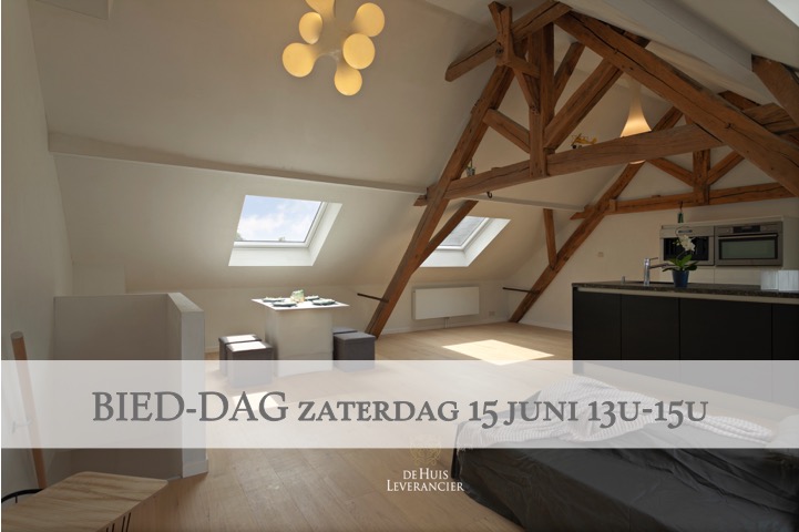 Uitzonderlijke woning Hove (2540)